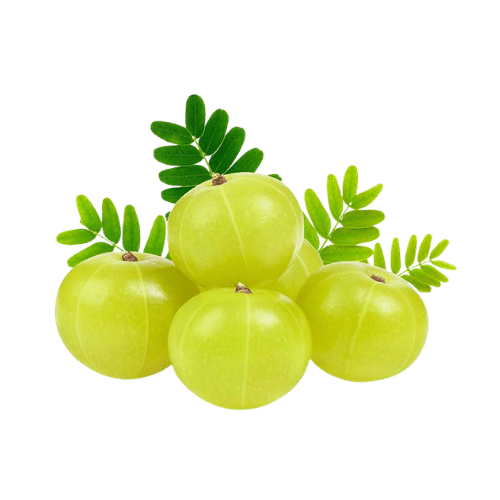 Indian Gooseberry